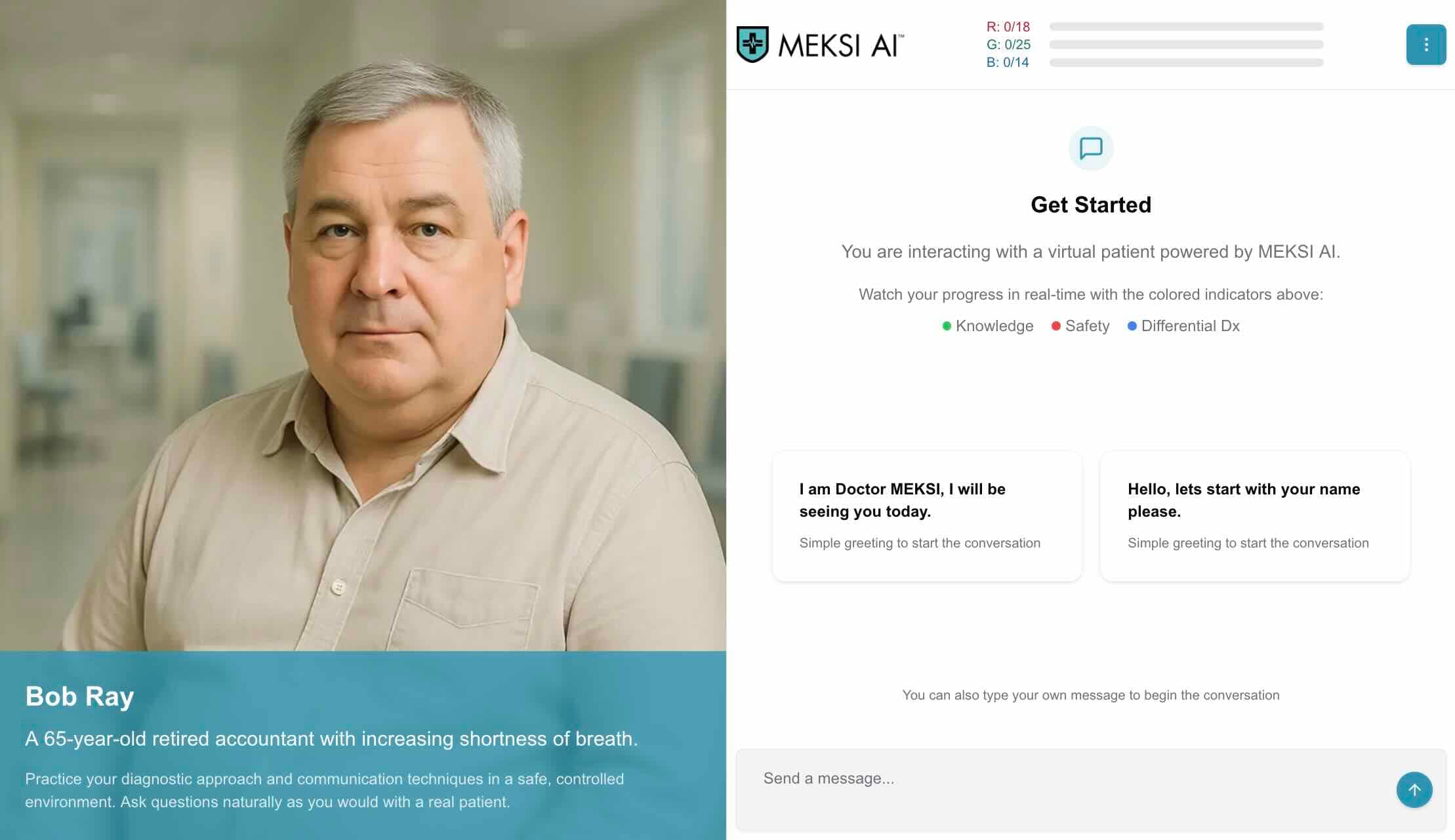 The MEKSI consultation screen with a virtual patient and the scoring domains